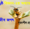 Class 6 Science 2nd Chapter Srejonshil Answer